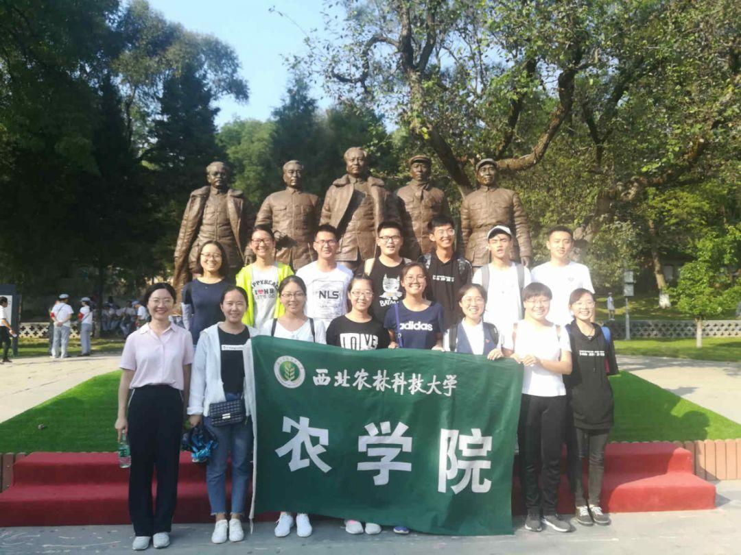 暴风龙 P3 护眼版测评:轻薄护眼的大屏办公助手